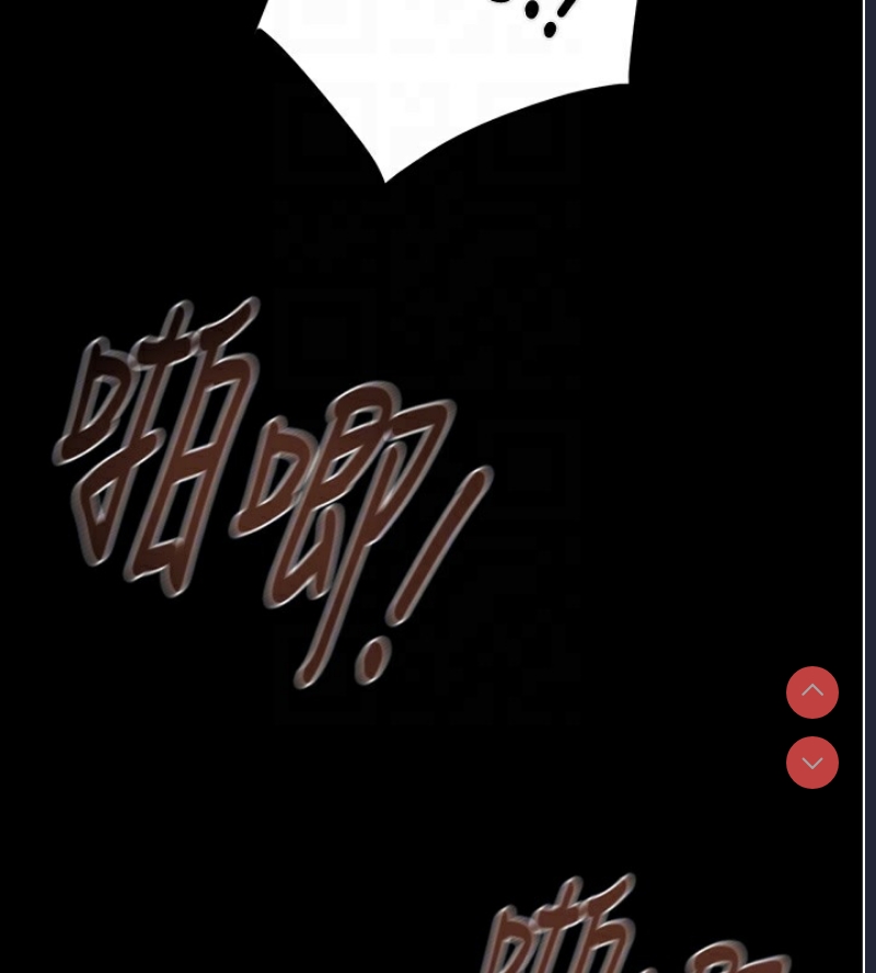 掠夺行动