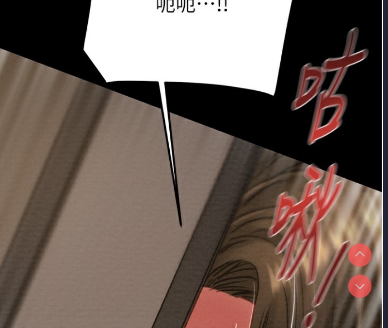 掠夺行动