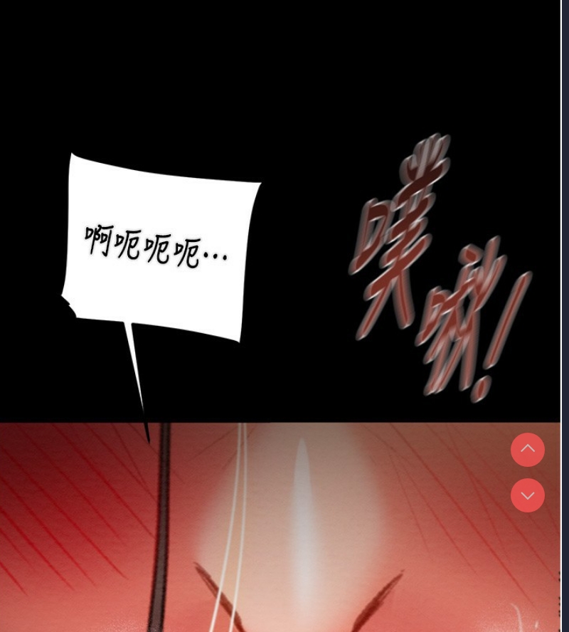 掠夺行动