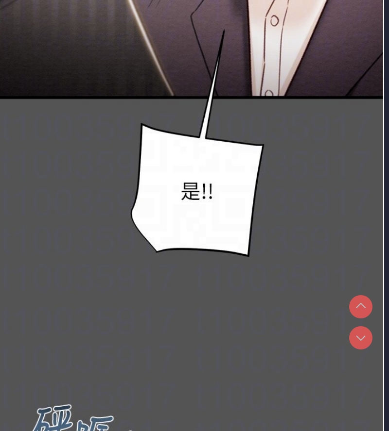 掠夺行动