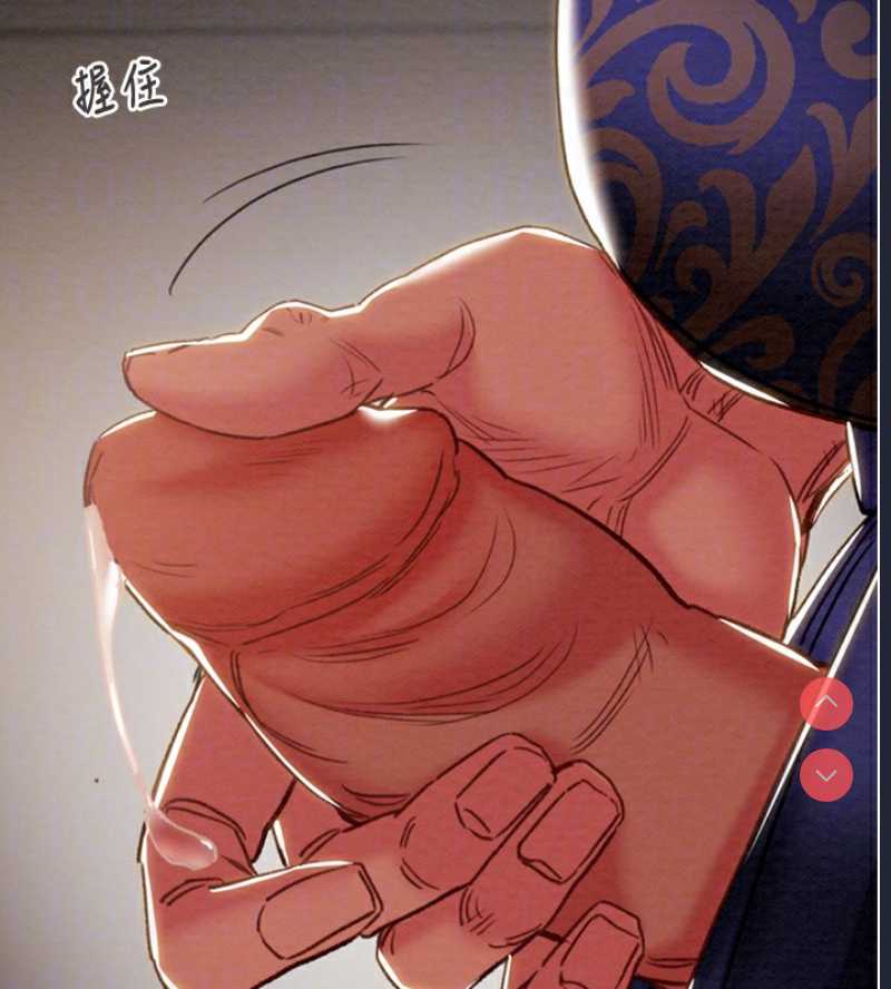 掠夺行动