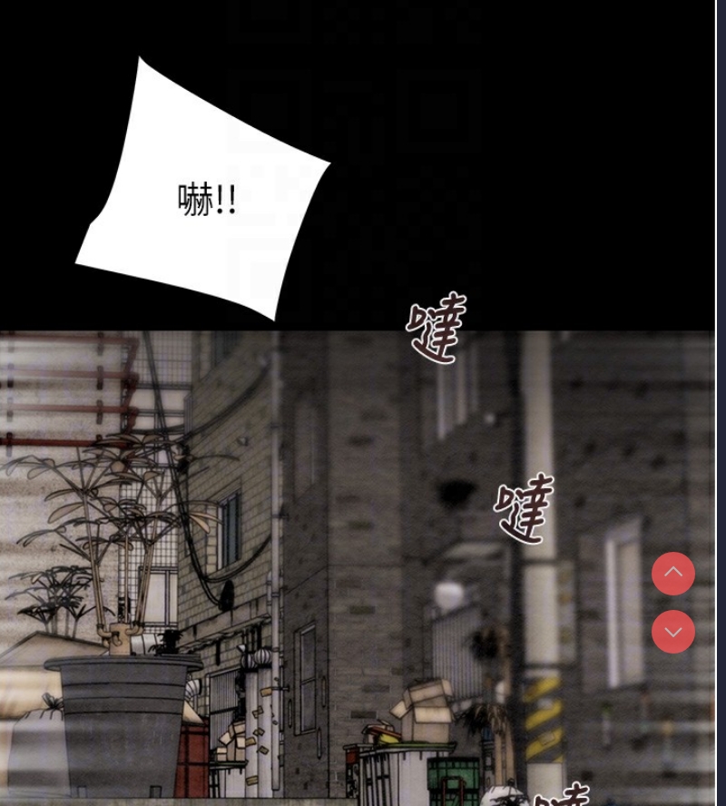 掠夺行动