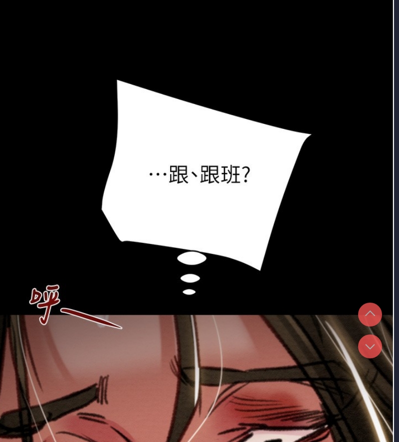 掠夺行动