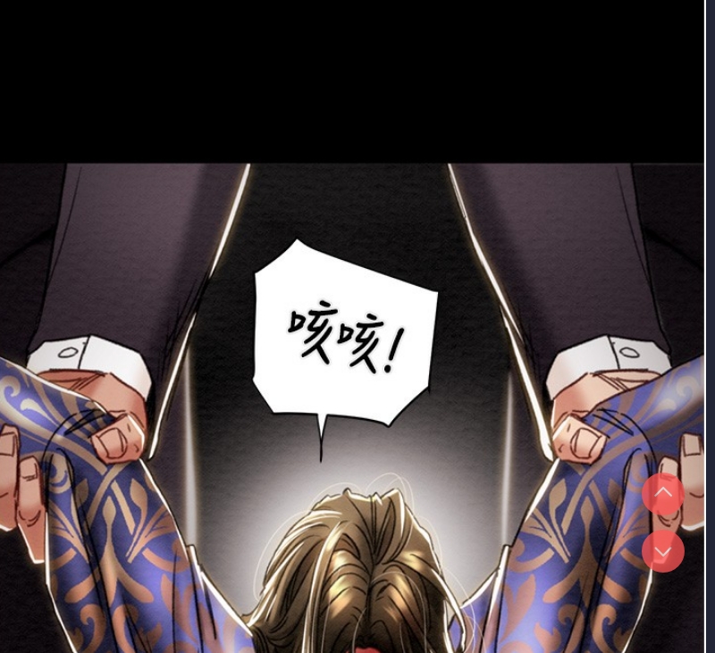 掠夺行动