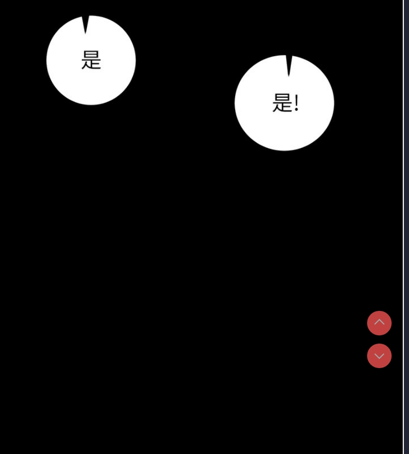 掠夺行动