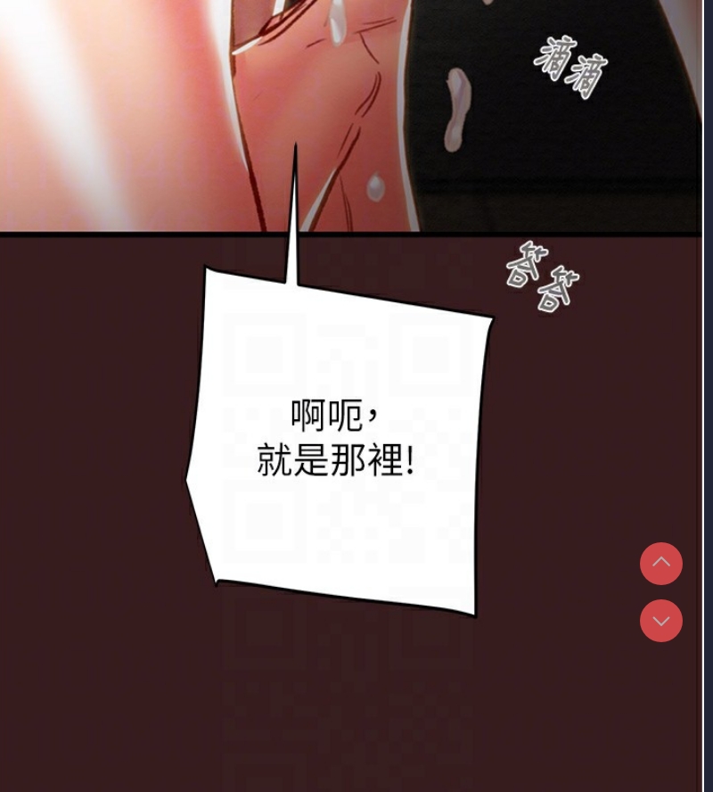 掠夺行动