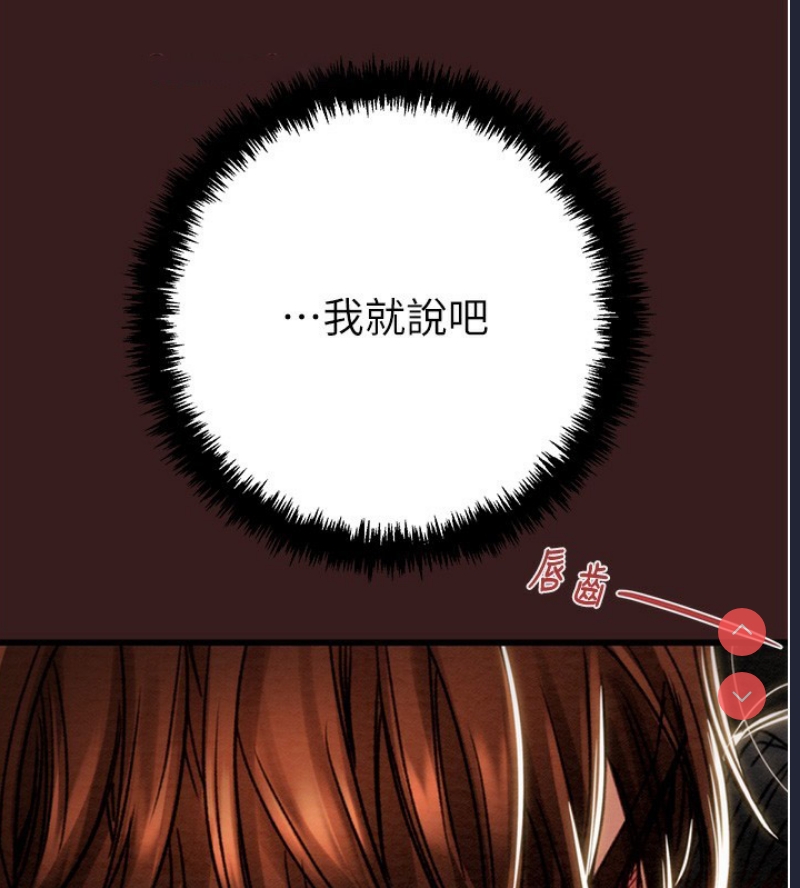 掠夺行动