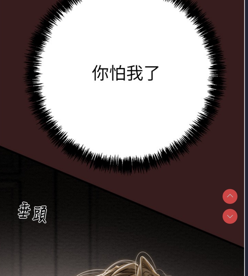 掠夺行动
