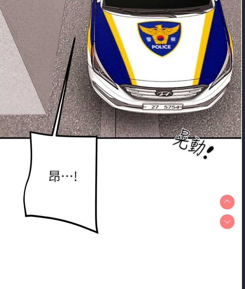 掠夺行动