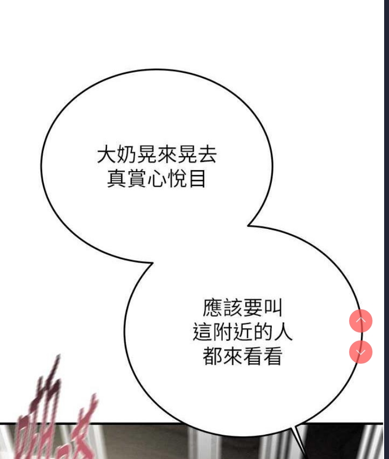 掠夺行动