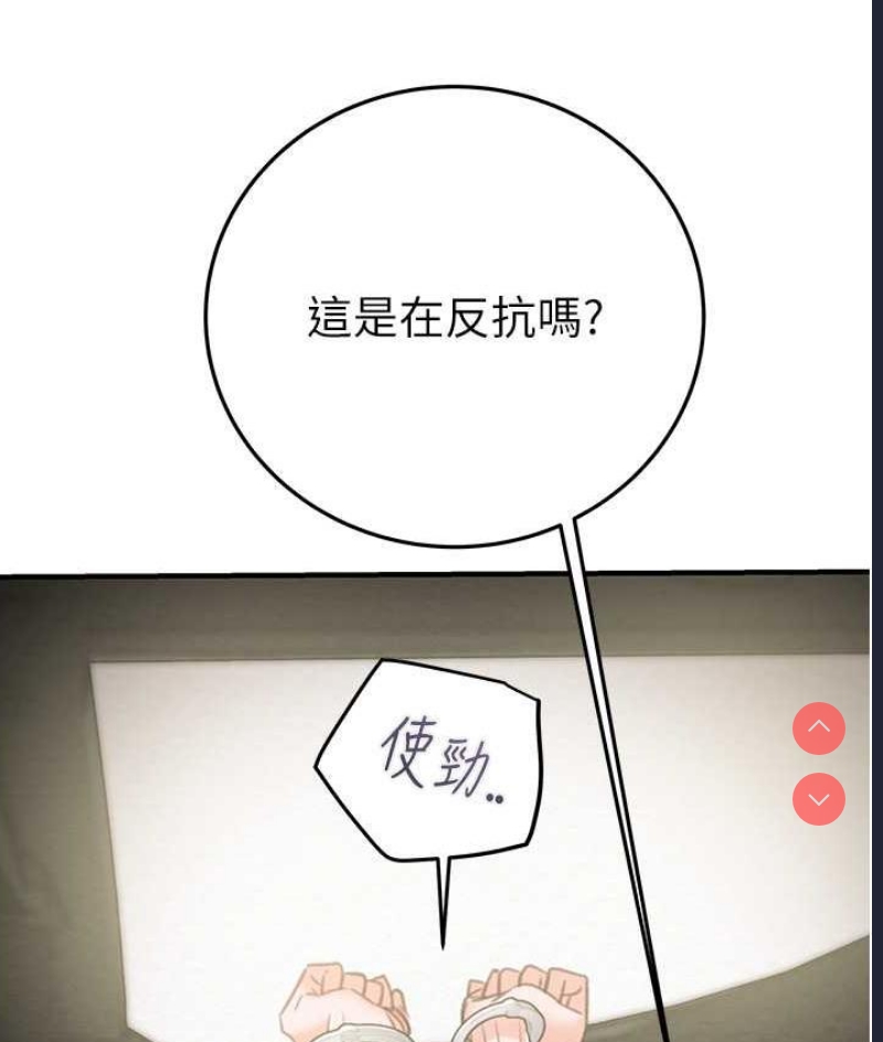 掠夺行动