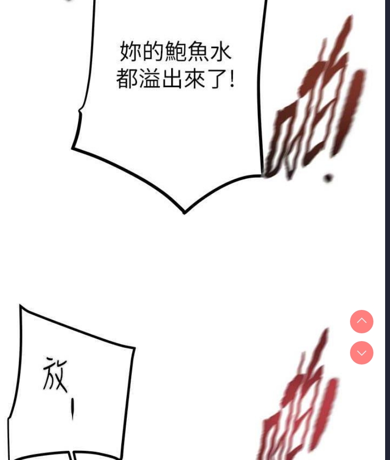 掠夺行动