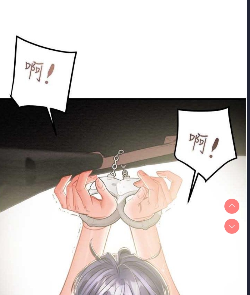 掠夺行动