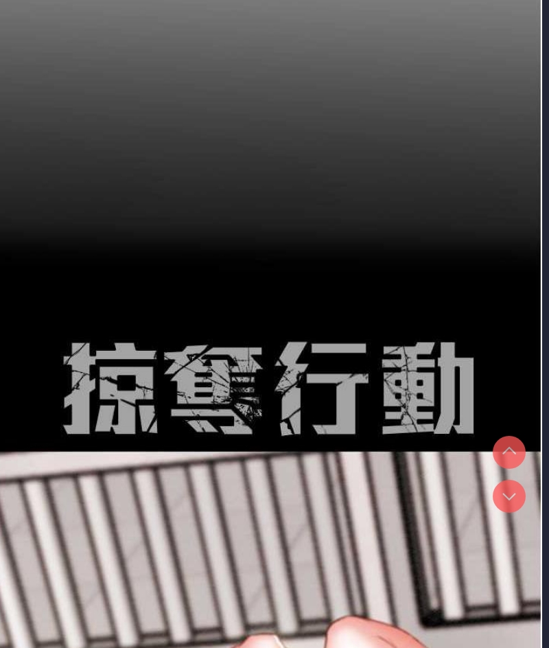 掠夺行动