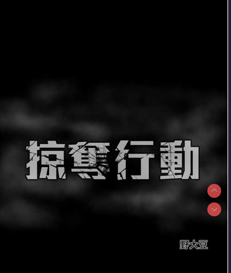 掠夺行动