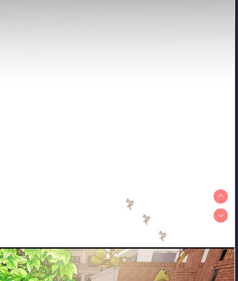 掠夺行动