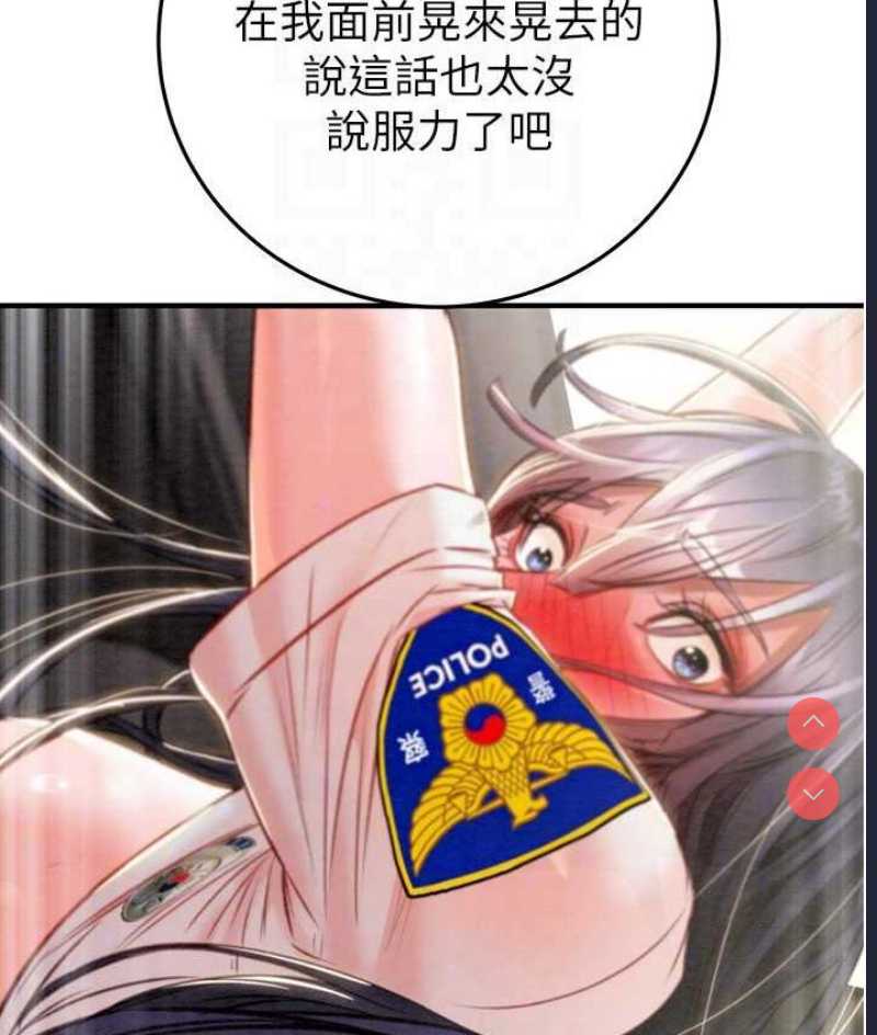 掠夺行动