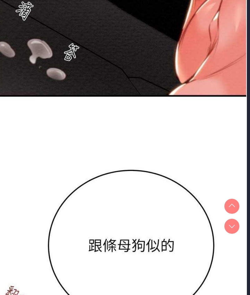 掠夺行动