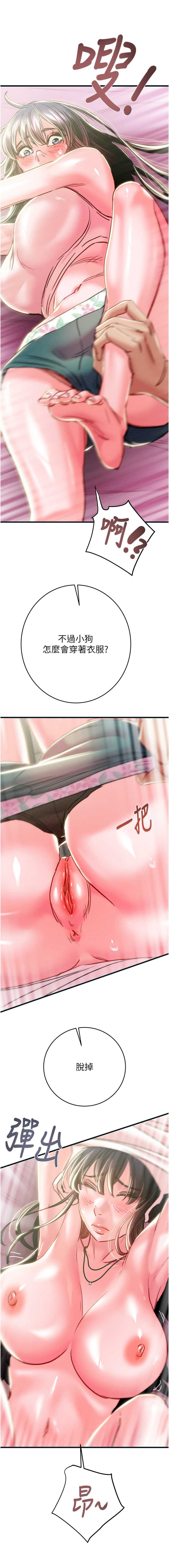 掠夺行动