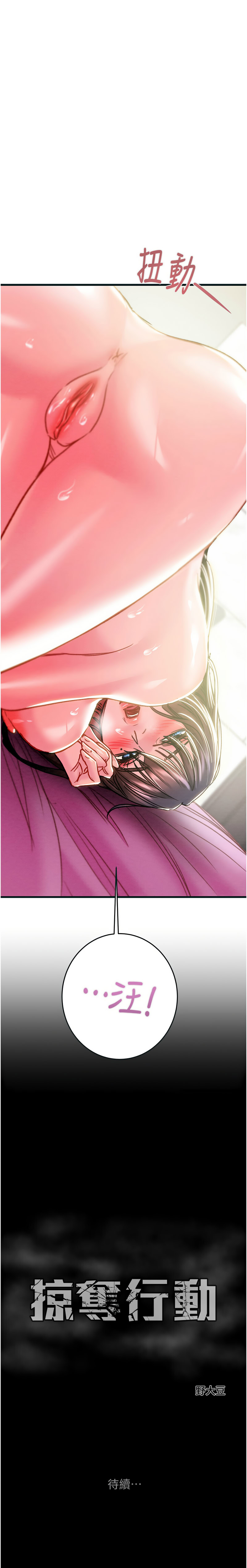 掠夺行动