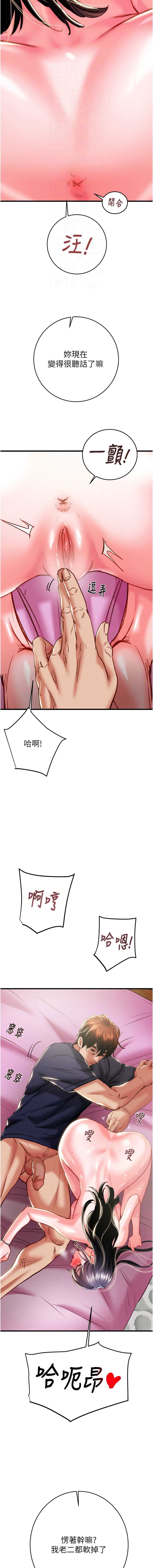 掠夺行动