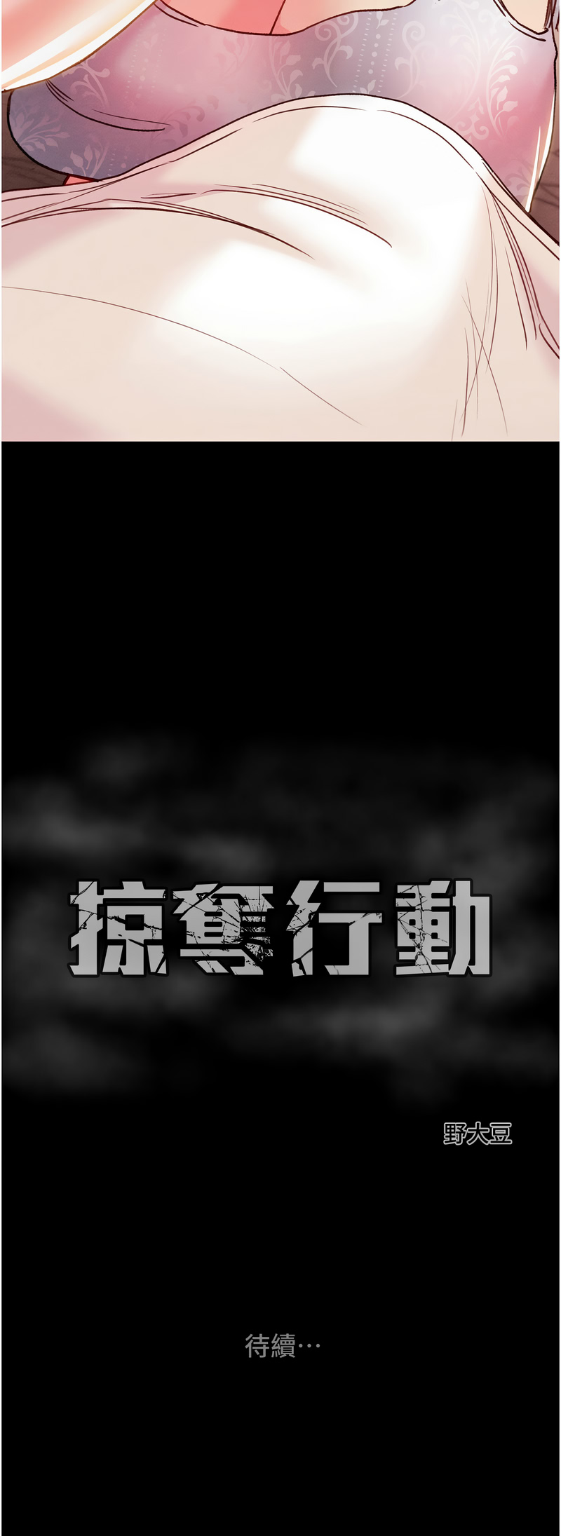 掠夺行动
