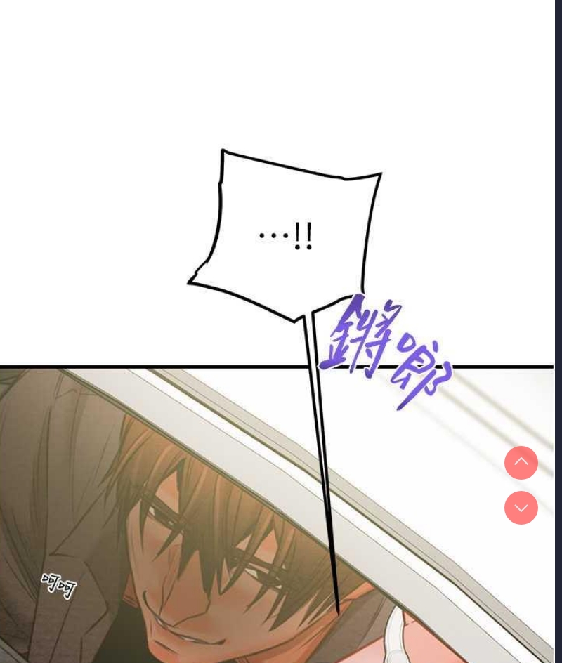 掠夺行动