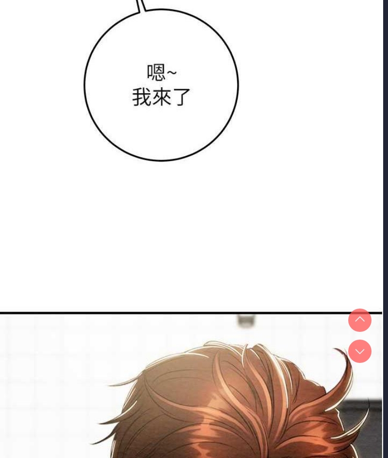 掠夺行动