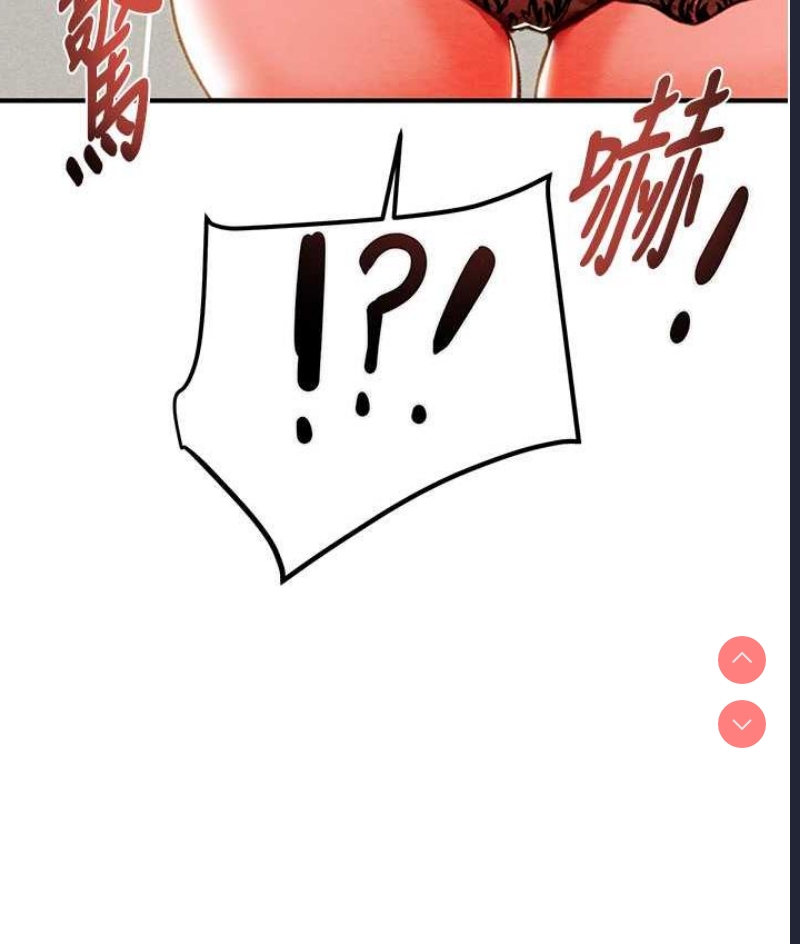 掠夺行动