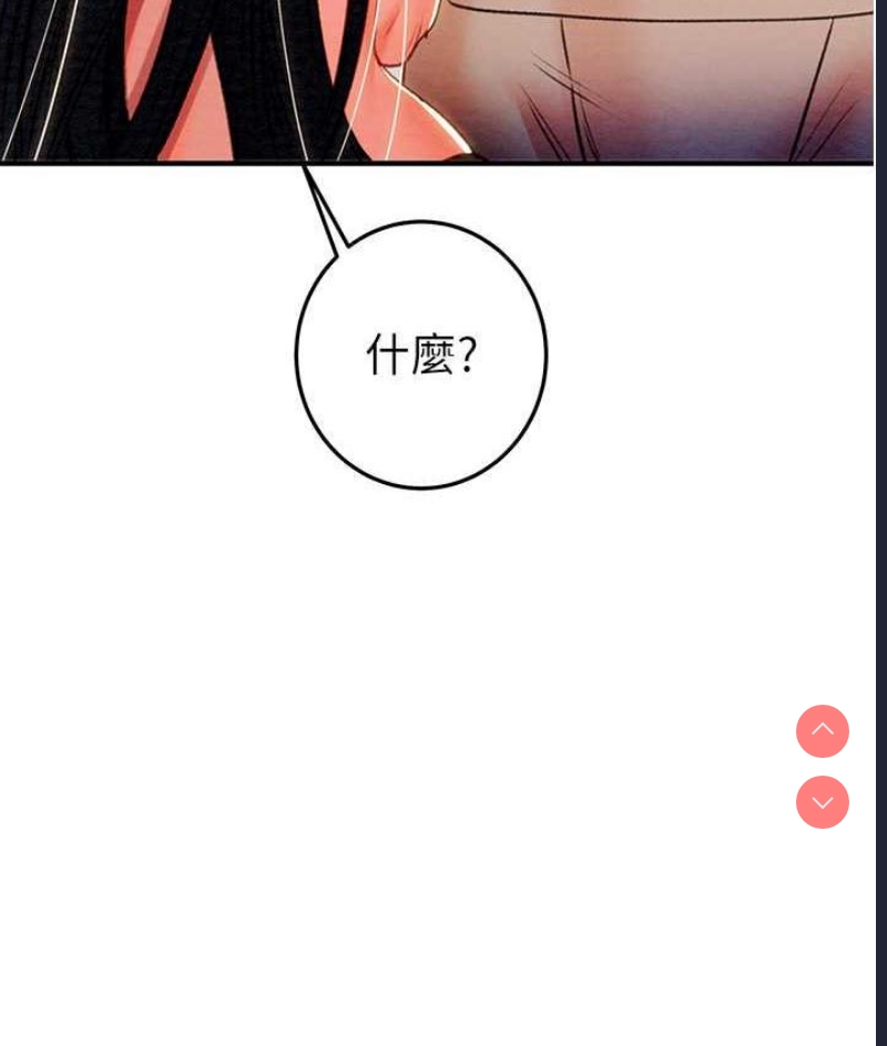 掠夺行动