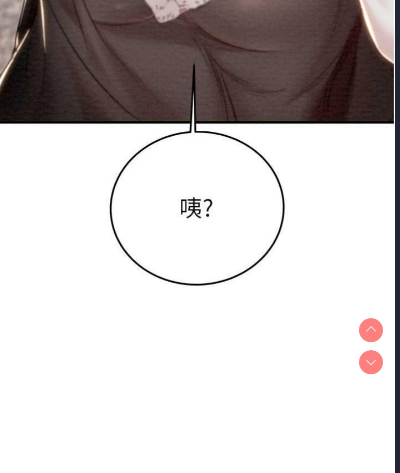 掠夺行动