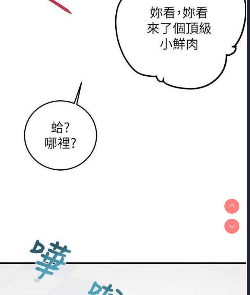 掠夺行动
