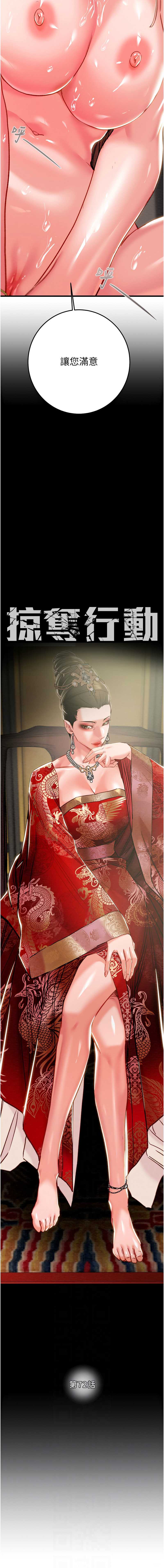 掠夺行动