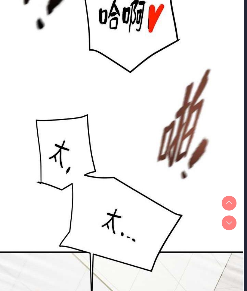 掠夺行动