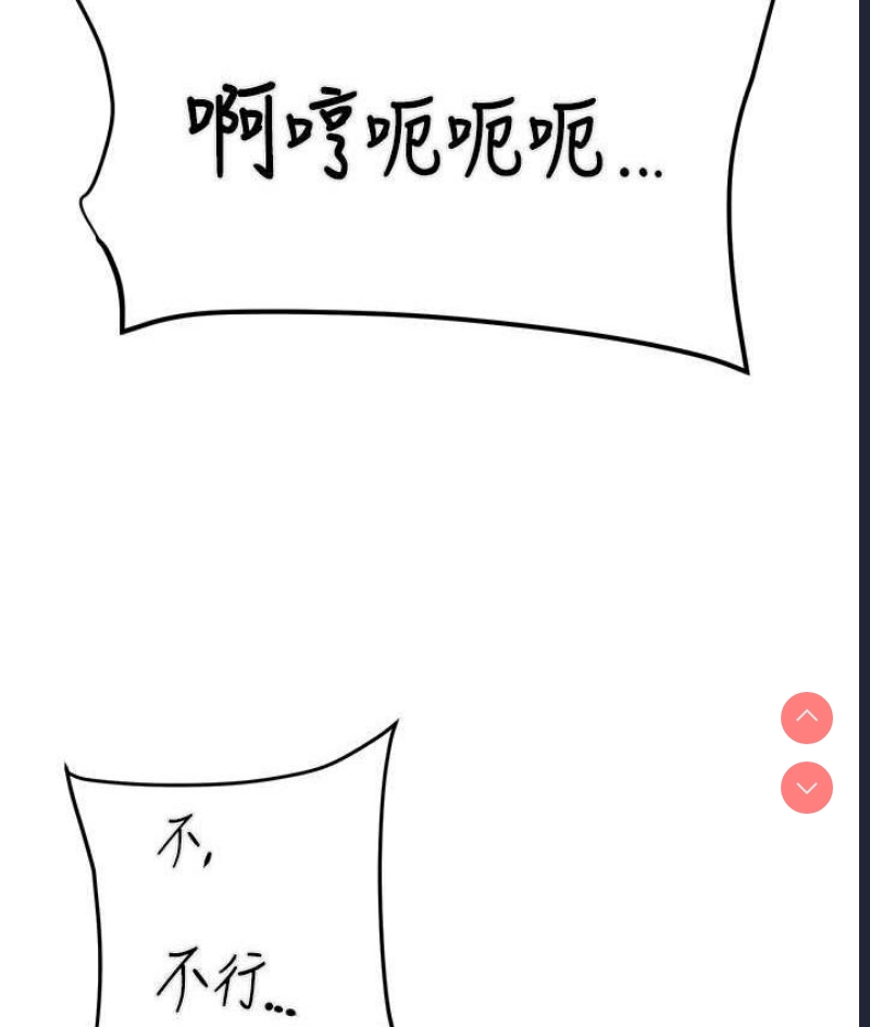 掠夺行动