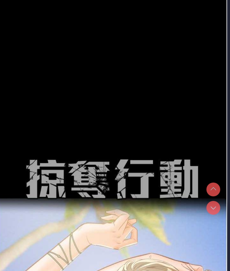 掠夺行动