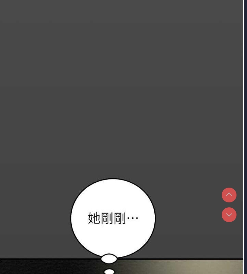 掠夺行动