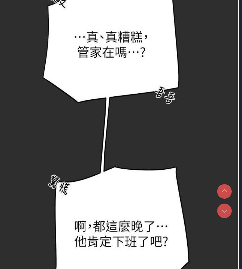 掠夺行动