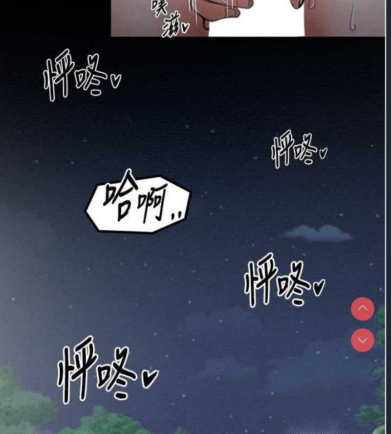 最强家丁