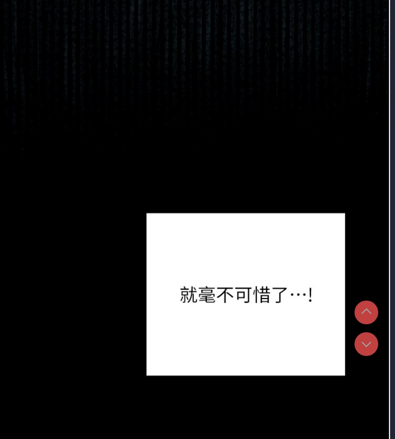 最强家丁