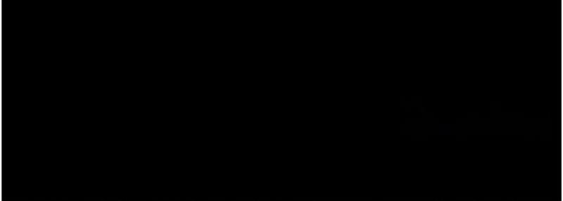 最强家丁