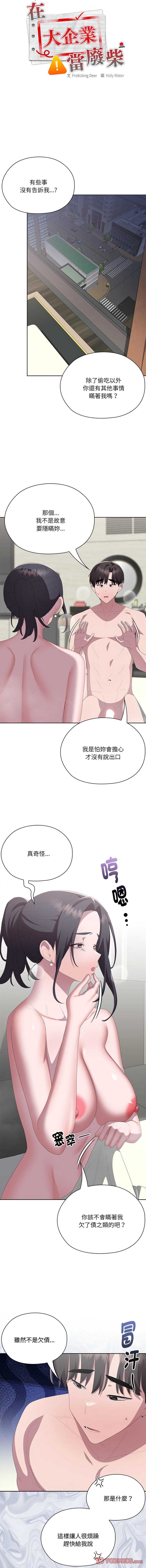 大企业里的小秘密/在大企业当废柴