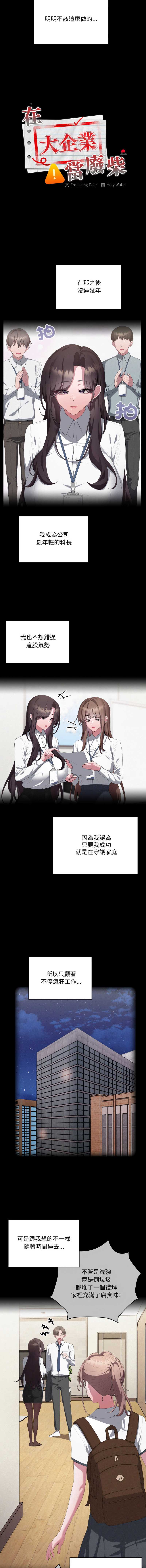 大企业里的小秘密/在大企业当废柴