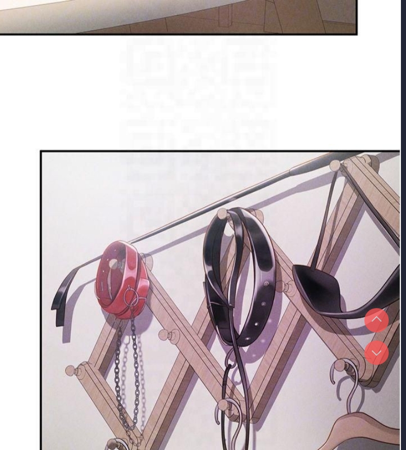 私密视角