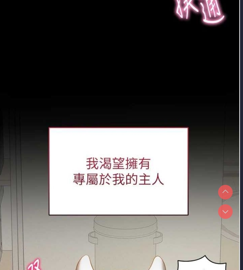 私密视角