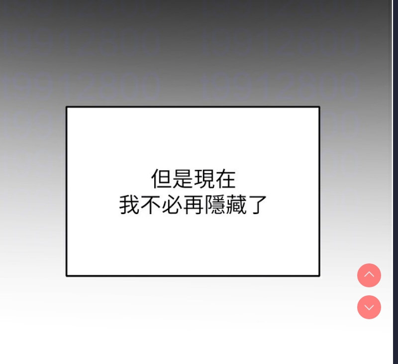 私密视角