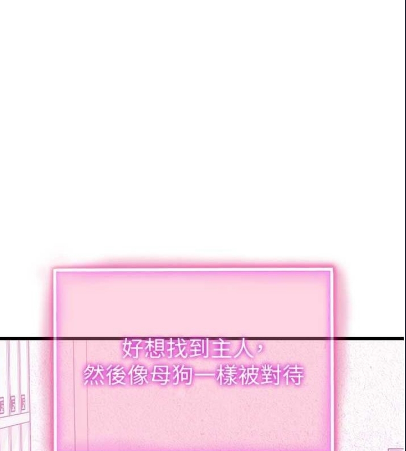 私密视角