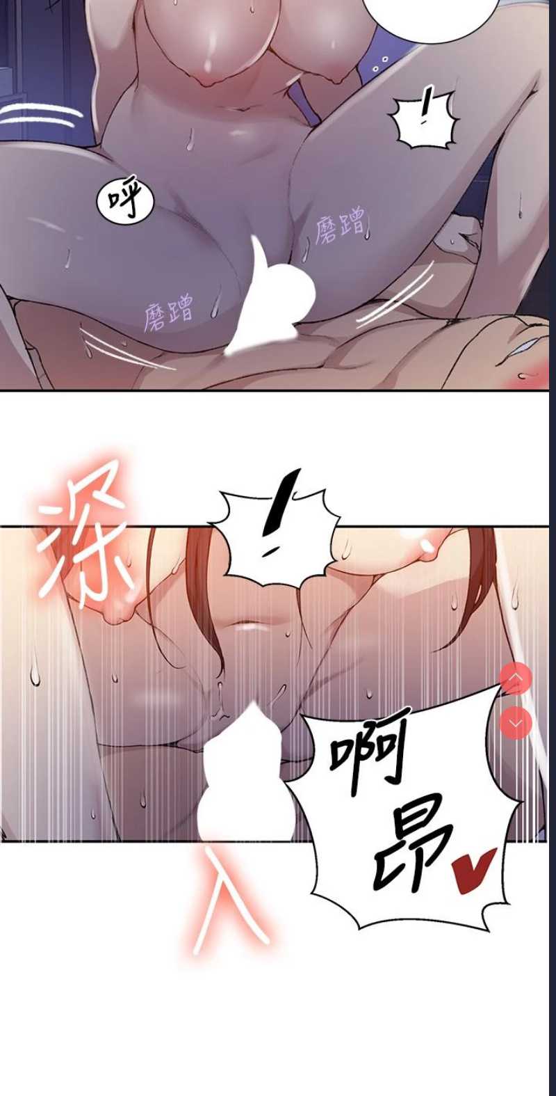 秘密教学