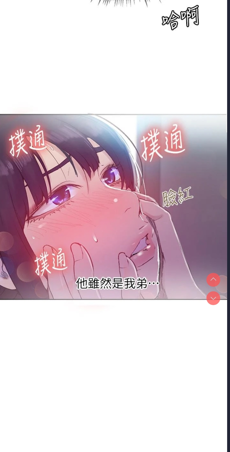 秘密教学