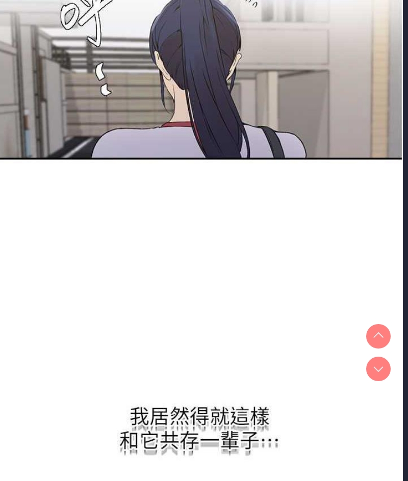 秘密教学